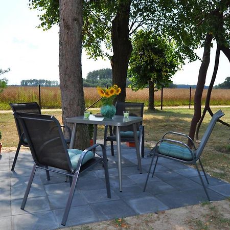 Agroturystyka "Lesne Zacisze Na Podlasiu" Tuczna Exterior foto