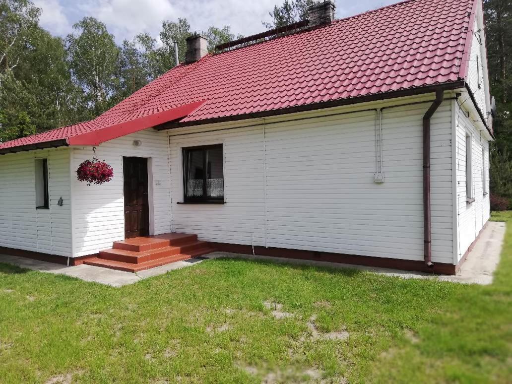 Agroturystyka "Lesne Zacisze Na Podlasiu" Tuczna Exterior foto