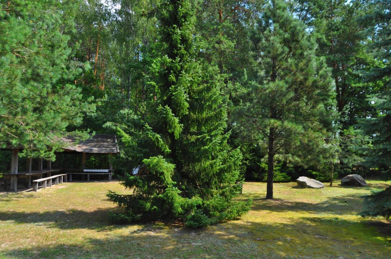 Agroturystyka "Lesne Zacisze Na Podlasiu" Tuczna Exterior foto